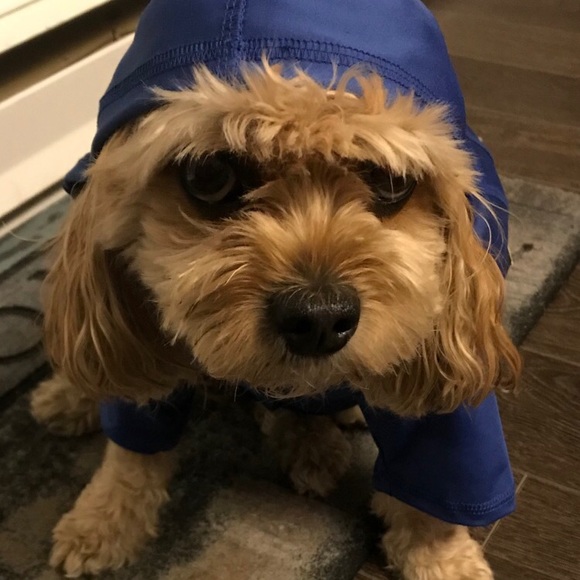 Meet your Posher, Alyssa - Picture 1 of 1